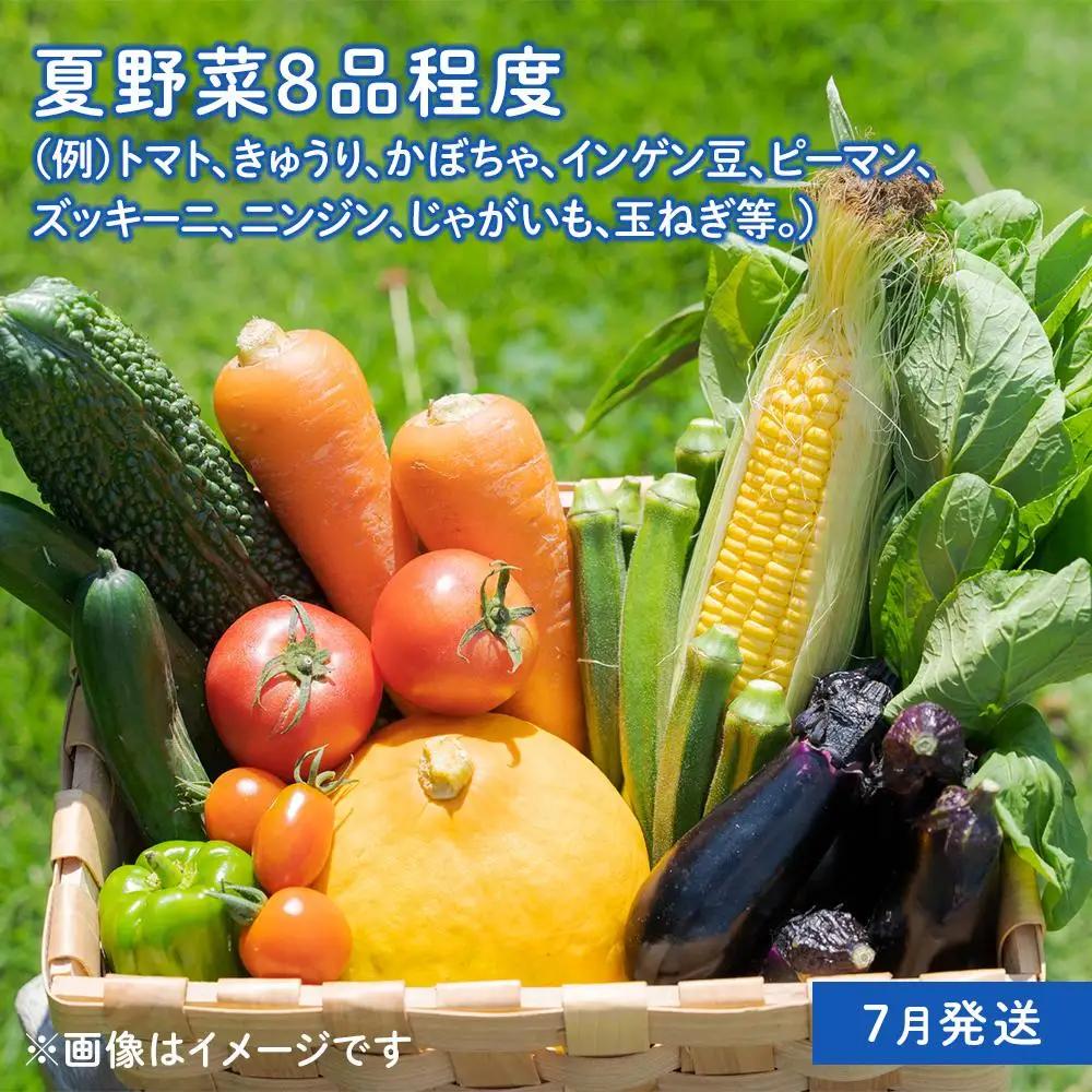 「ベジーズ館」の夏・冬野菜　年２回コース （7月と12月発送）｜【野菜定期便・野菜・定期便・冬野菜・夏野菜・野菜セット・旬の野菜・兵庫野菜・相生野菜・国産野菜・野菜詰め合わせ・冬野菜詰め合わせ・夏野菜