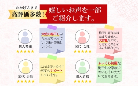 ご家庭用 紀州南高梅 大粒 はちみつ梅干し 1.5㎏ 塩分約8% 無選別 /訳あり 梅 梅干 梅干し うめ ウメ ハチミツ すさみ町【khs113】