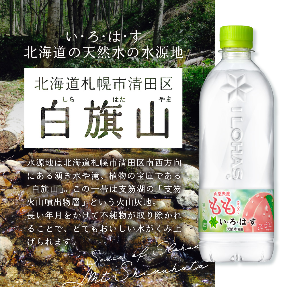 【２ヶ月定期便】い・ろ・は・す もも　540mlPET×24本｜コカ・コーラ 飲料 水 桃 フレーバー いろはす 北海道 札幌市