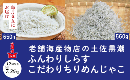 12回 定期便 土佐黒潮 ふんわり しらす 650g こだわり の ちりめんじゃこ 560g 【1カ月に1回交互にお届け】 計7.26kg 冷凍 小分け 便利 惣菜 海の幸 じゃこ 無添加 無着色 国産 魚介 海産物 シーフード お取り寄せ R6-652