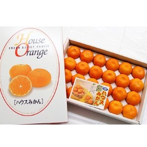 大分県日出町産　ハウスみかん 約2.5kg(化粧箱入)_果物・フルーツ みかん  ミカン 蜜柑_【1106333】