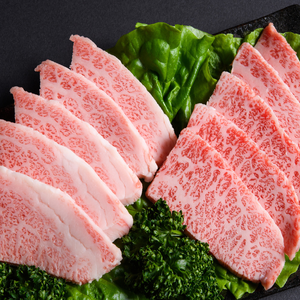 【6か月定期便】訳あり！艶さし！【A4～A5】佐賀牛焼肉切り落とし(肩ロース・バラ) 1kg(500g×2P)×6回【肉 牛肉 ブランド牛 黒毛和牛 ふるさと納税】(H112242)