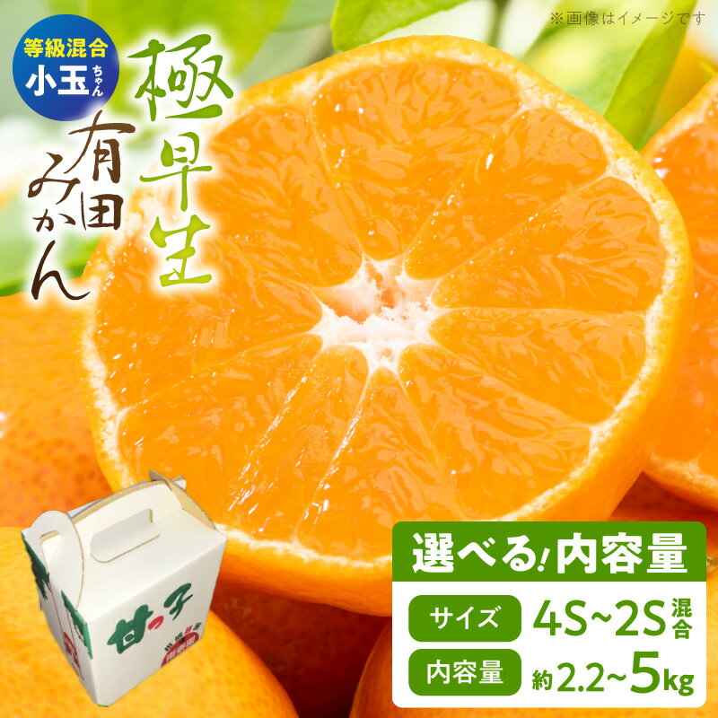 【ふるさと納税】極早生 有田みかん 小玉ちゃん 選べる 内容量 約2.2kg ～ 約5kg 特秀～青秀 等級混合 4S～2S サイズ混合 酸味 甘み ミカン 柑橘 温州みかん 和歌山県産 柑橘専業農家 南泰園 手選別 マルチ栽培 和歌山県 湯浅町 お取り寄せ 送料無料