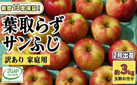 りんごサンふじ葉取らず訳あり青森県産りんご【約3kg】【2月発送】