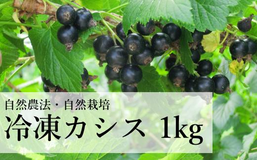 
            自然農法 冷凍 カシス ( 1kg ) 完熟収穫 栽培期間中 農薬不使用 農家 直送 遠野もぐもぐカントリー
          