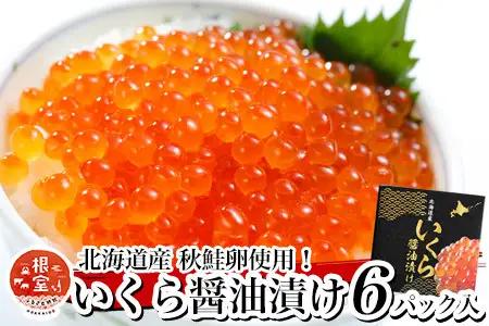 いくら醤油漬け100g×6P(計600g) D-81001