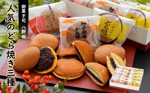 
            どら焼き 3種 計 15個 和菓子おやつ 和菓子 お茶菓子 お菓子 菓子 おかし スイーツ 和スイーツ 和菓子セット 冷蔵 または 常温 どらやき 地産地消 能登 手土産 お土産 土産 もちもち しっとり 人気 こだわり 自慢 北陸 石川 羽咋 御菓子司 八野田
          
