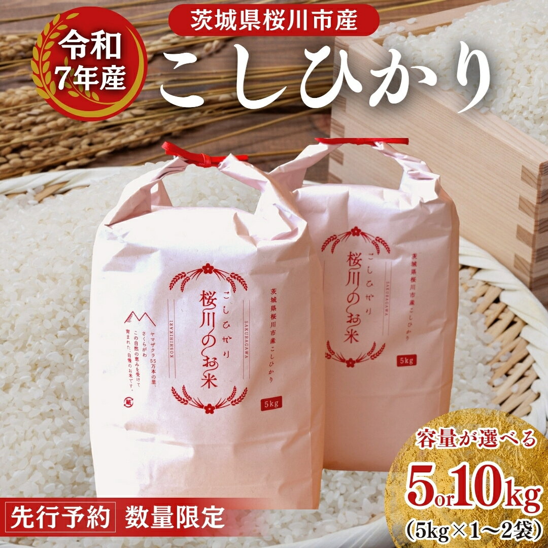 【ふるさと納税】【生産者支援】 《令和7年産 先行予約》茨城県 桜川市産 こしひかり 5kg 10kg 茨城県産 桜川 米 お米 白米 コメ ごはん 精米 コシヒカリ 国産 限定