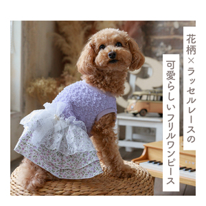 ふくれジャガードフラワーワンピース ベージュ  ドッグウェア 【ココアトワ(cocoAtoi)】 Ｌ