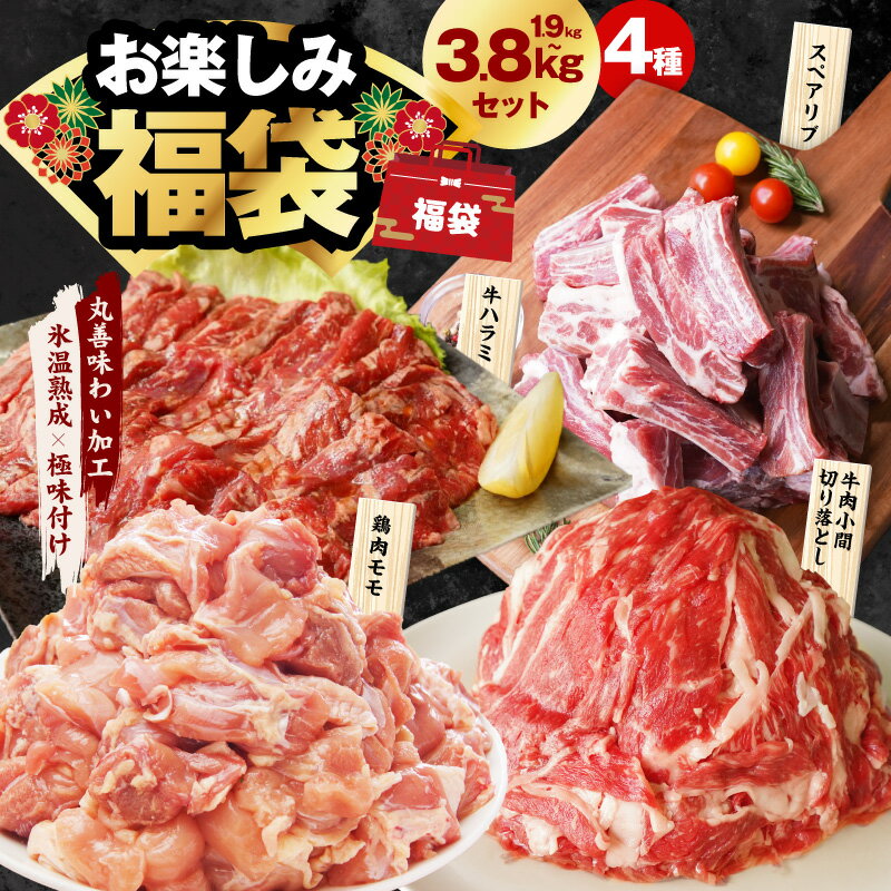 【ふるさと納税】【発送月が選べる】 お楽しみ 福袋 4種 1.9kg / 3.8kg 牛小間切り落とし 牛ハラミ スペアリブ 鶏もも肉 鶏肉 国産豚 氷温熟成牛 牛肉 肉 牛 精肉 極味付け 豚肉 熟成肉 限定 肉の泉佐野 焼肉 冷凍 大阪府 泉佐野市 送料無料 普段使い