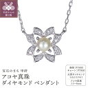 【ふるさと納税】 ペンダント ネックレス ダイヤモンド ジュエリー アクセサリー レディース 0.04ct アコヤ真珠 PT900 PT850 プラチナ フラワーモチーフ シンプル 普段使い ギフト プレゼント ジュエリーケース付 鑑別書付 保証書付 k120-071