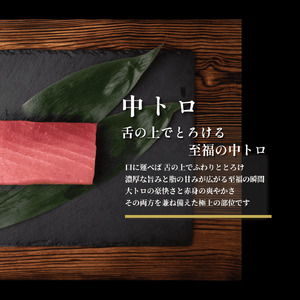 (1347)油谷産養殖本マグロ 中トロ柵 800g