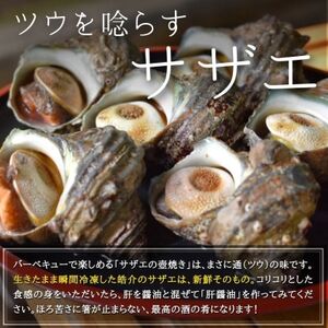 海鮮バーベキューセット1kg(大あさり500g＆サザエ500g)大アサリ専用だし醤油付き【配送不可地域：離島】【1404602】