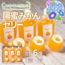 【ふるさと納税】陽蜜みかんゼリー「カップ＆飲めるパウチタイプ」詰め合わせ セット 西都市産陽蜜みかん 常温【お中元ギフト対応します】