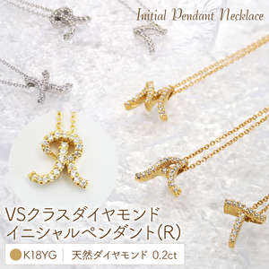 Ｋ18  ダイヤイニシャル ＰＮ ( R ) 管理番号20201009 221-001-R