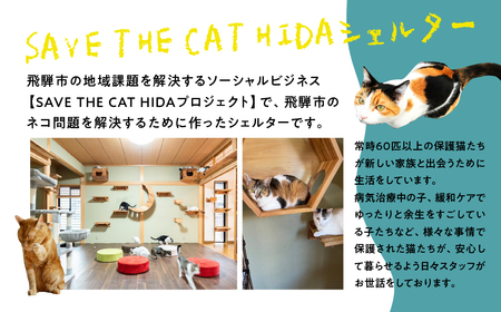 保護猫シェルターサポーター 1年間 権利 SAVE THE CAT HIDA PROJECT ねこ ネコ 猫 支援 保護猫ライフ 観光 旅行 体験[Q2718]