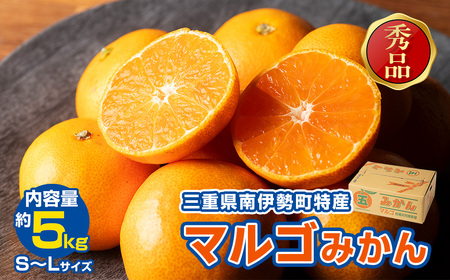 みかん 温州みかん 約5kg （S～Lサイズ） 秀品 数量限定 期間限定 柑橘 蜜柑 mikan フルーツ 果物 くだもの 国産 ブランド 贈答用 贈答品 贈答 ギフト 三重県 伊勢 志摩 南伊勢町 マルゴみかん JA伊勢