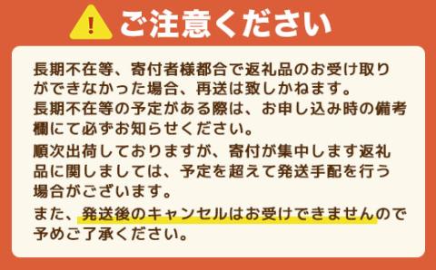 E007 光市産いちご 「ひかりのルビー」いちご （12粒×2パック）約600g 50セット限定 【2026年1月12日以降発送】