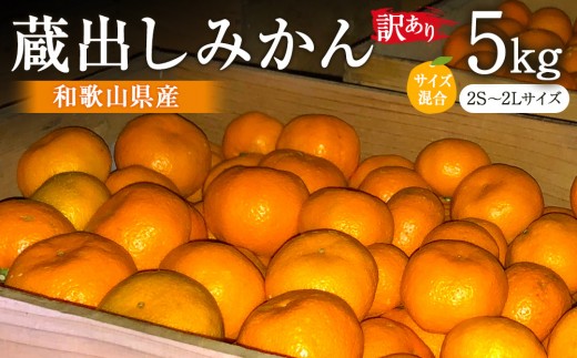 ［先行予約］訳あり 蔵出しみかん 約5kg 2S～2Lサイズ混合［2026年1月10日～31日頃順次発送予定］