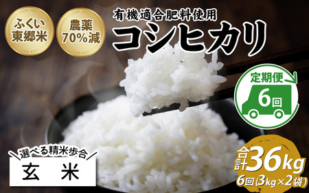 【玄米】【定期便6ヶ月連続】令和6年産 新米 ふくい東郷米 特別栽培米 農薬70％減 コシヒカリ 6kg(3kg×2袋)×6ヶ月 合計36kg[J-020023_02]