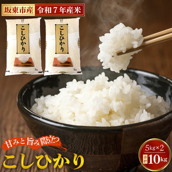 【ふるさと納税】 令和7年産　こしひかり10kg【坂東市産】 ／ 令和7年 新米 米 お米 こめ コメ 精米 白米 ご飯 国産米 10kg 10キロ コシヒカリ こしひかり 甘み 粘り 香り ツヤ おいしい お取り寄せ 産地直送 産直 坂東市産 茨城県産 茨城産 茨城県 特産品 送料無料 No.669