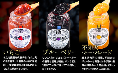 阿蘇 木之内農園 プレミアムシリーズ 3本セット 1本 150g×3 いちご ブルーベリー 不知火マーマレード《30日以内に出荷予定(土日祝を除く)》 熊本県 南阿蘇村 ジャム いちご ブルーベリー 