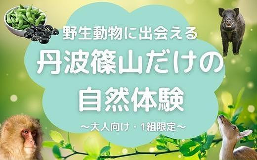 
【プライベートプログラム】野生動物に出会える 丹波篠山だけの自然体験
