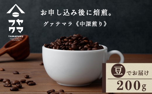 自家焙煎珈琲 グァテマラ　中深煎り（豆） 200g