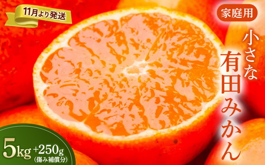 家庭用 小玉な有田みかん5kg+250g（傷み補償分）【わけあり・訳あり】【光センサー選果】 