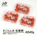 【ふるさと納税】先行予約 さくらんぼ 佐藤錦 秀品 L 約540g 令和7年産 2025年産 山形県産 フルーツ 果物 送料無料 tf-snpsl540