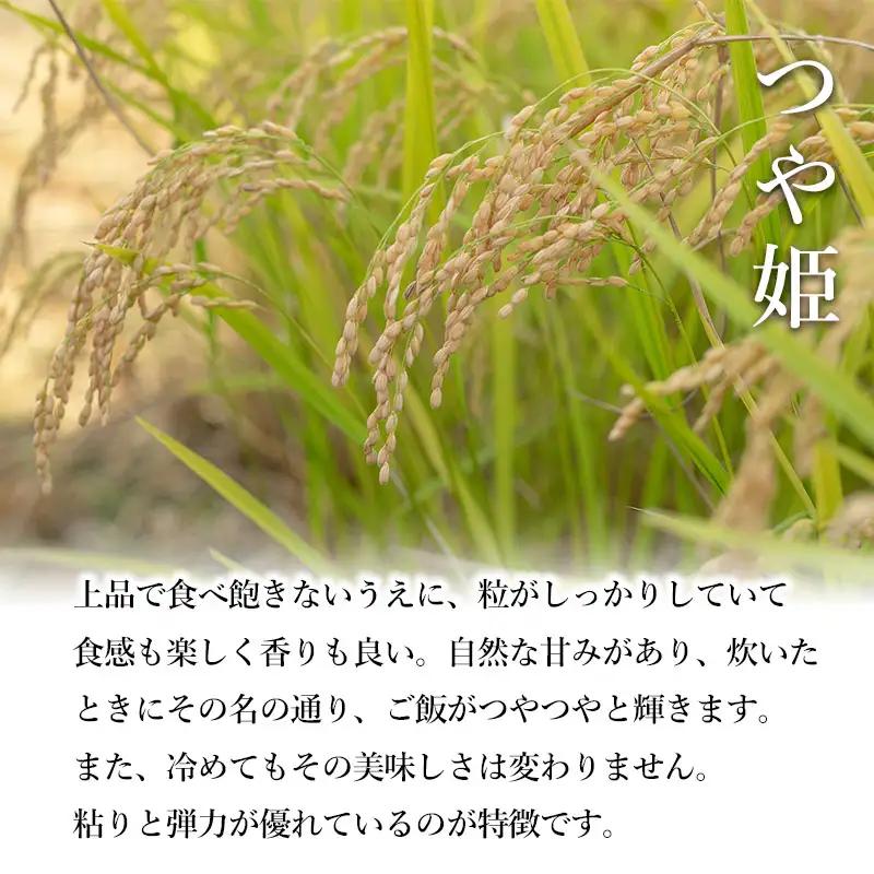 【令和8年産先行予約】特別栽培米つや姫 10kg (5kg×2袋)×12ヶ月【定期便】　鶴岡協同ファーム