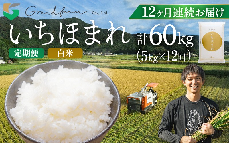 
                  【先行予約】定期便 ≪12ヶ月連続お届け≫ 令和8年産 新米 いちほまれ 白米 5kg【2026年10月上旬以降順次発送予定】定期 連続お届け 毎月届く 精米 福井県 美浜町産  白米 こめ コメ お米 おこめ 5キロ 10キロ おすすめ [m46-n005]
                