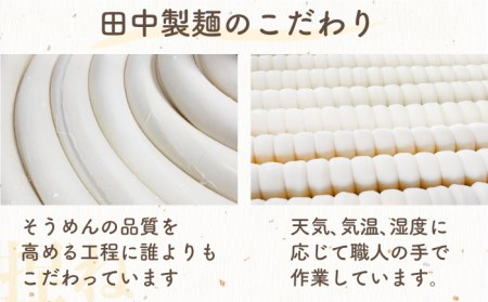 【国産 小麦 100%】 【ノンオイル製法】島原手延べそうめん しらゆり 50g×10束 500g  / そうめん 島原 手延べ 素麺 麺 乾麺 ギフト 田中製麺 / 南島原市 / 贅沢宝庫 [SDZ
