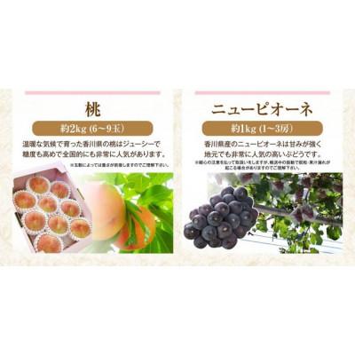 ふるさと納税 さぬき市 【発送月固定定期便】香川県さぬき市 夏冬フルーツ厳選定期便(6回便)全6回 |  | 01