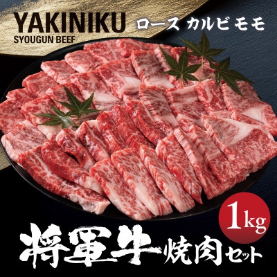 
            ＜将軍牛＞特選焼肉セット ロース カルビ もも 3種類 1kg【1652120】
          