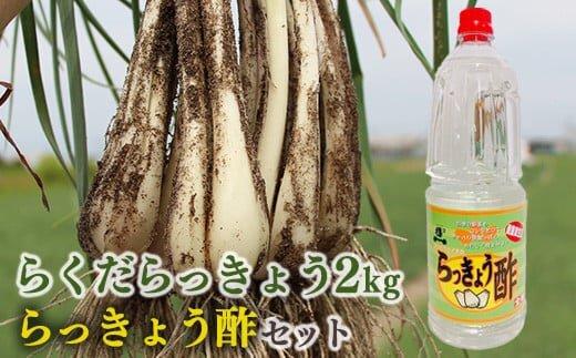 327.【先行予約】朝堀りらくだらっきょうと老舗のらっきょう酢セット　※5月中旬～6月下旬頃に順次発送予定 313726_AN082