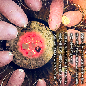 【 紅はるか 】 冷やしたまま食べる熟成壷焼き芋 450g 焼き芋 やきいも