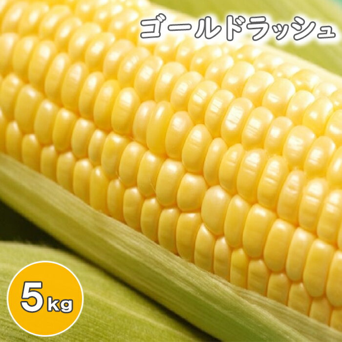 【ふるさと納税】〈早期予約！2025年7月中旬発送開始予定〉岩手県産 とうもろこし スイートコーン ゴールドラッシュ 約5kg ／トウモロコシ とうきび コーン 玉蜀黍 夏野菜 旬野菜 季節野菜 生食 新鮮 5キロ 農家直送 産地直送 おすすめ 岩手県 八幡平市 送料無料 みうら農園