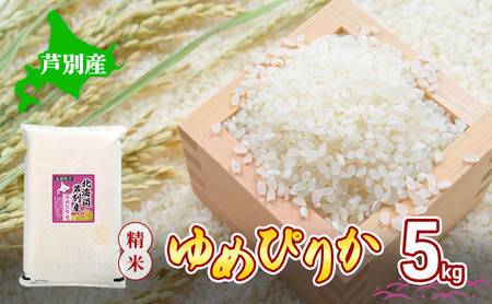 米 ゆめぴりか 白米 精米 5kg 令和7年産 北海道米