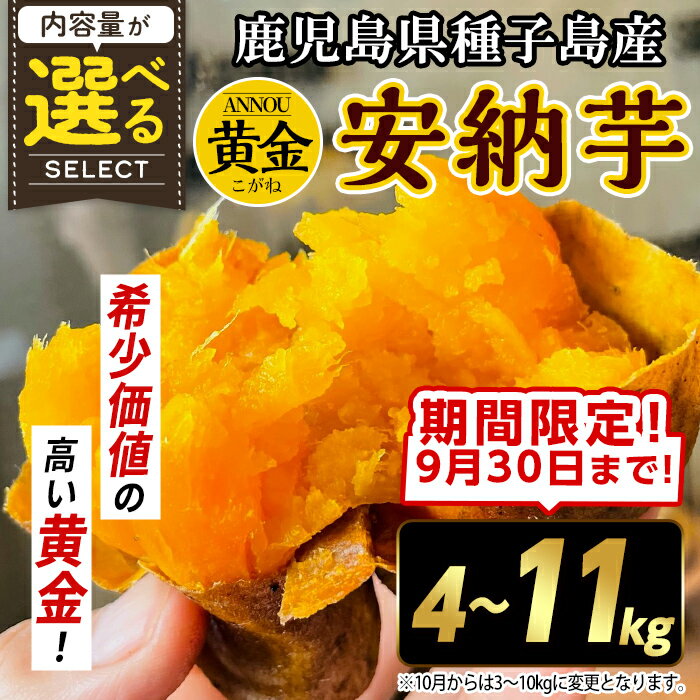 【ふるさと納税】＜期間限定！先行予約受付中！2025年9月下旬頃から12月中の発送予定＞内容量が選べる！種子島産 安納芋＜黄金＞(期間限定容量・4～11kg) 国産 安納芋 黄金 種子島 芋 さつま芋 生芋 安納いも 野菜 焼芋 焼き芋 こがね【うずえ屋】