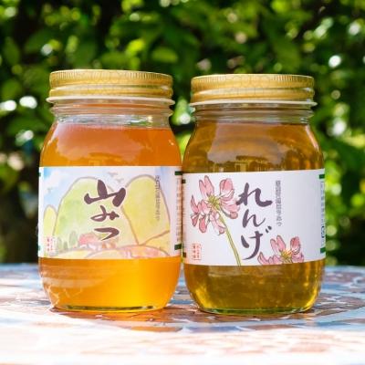 ふるさと納税 小郡市 はちみつ 国産 天然 純はちみつ 600g×2本セット やまみつ&amp;れんげ[No5354-0294]