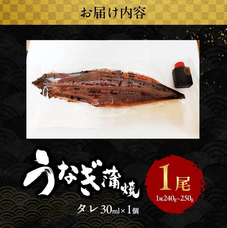 うなぎ 国産 蒲焼き 1尾 (240g～250g) うなぎ蒲焼 国産うなぎ 国産鰻 国産うなぎ蒲焼 うなぎの蒲焼 鰻の蒲焼 冷凍ウナギ 冷凍食品 冷凍 惣菜 おかず 魚 魚介 魚介類 大阪 大阪府 岸