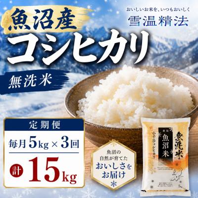 ふるさと納税 小千谷市 【毎月定期便】無洗米　雪室貯蔵魚沼産コシヒカリ5kg全3回