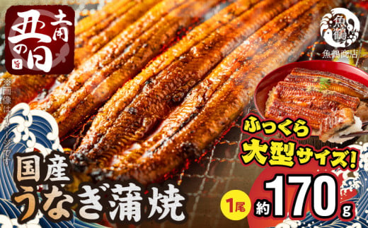 G7312_【土用の丑の日】＜10月23日までにお届け＞ふっくら柔らか 国産うなぎ蒲焼き 1尾