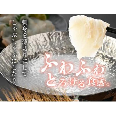 ふるさと納税 美浜町 若狭の天然活〆ヒラメ柵400g以上【お刺身用】【解凍後、切るだけ】 |  | 02