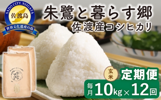 【定期便 令和8年産新米 12か月】 佐渡島産コシヒカリ 玄米 10kg 令和8年産新米 特別栽培米 | 新潟県産コシヒカリ 新潟産コシヒカリ 佐渡産コシヒカリ 新潟県産こしひかり 佐渡産こしひかり お米 米 こしひかり 玄米 げんまい おこめ コメ 10キロ にいがた さど 新潟県 佐渡市