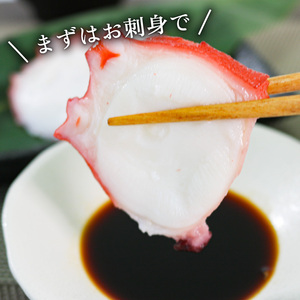 煮たこ 2本 約500g 冷凍 たこ