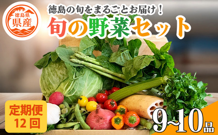 野菜 セット 9～10品 定期便 12回 季節 旬 野菜 詰め合せ 国産 おまかせ 産地直送 