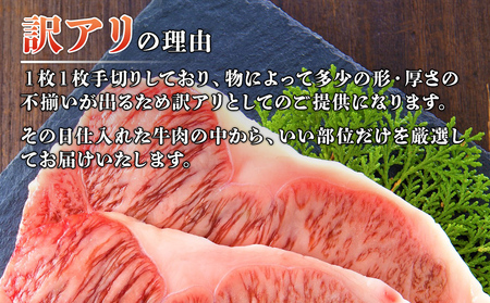 博多和牛サーロインステーキセット　500g（250g×2枚） お取り寄せグルメ お取り寄せ 福岡 お土産 九州 福岡土産 取り寄せ グルメ 福岡県