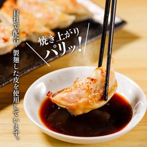あさの生餃子 【25個入×5パック 計125個】餃子餃子餃子餃子餃子【ASN002】